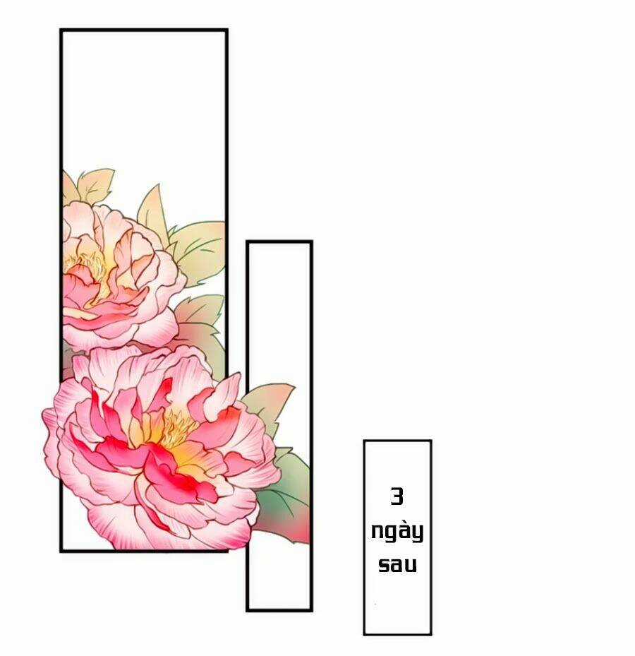 Khuynh Thế Y Phi Muốn Bỏ Chồng Chapter 57 trang 26