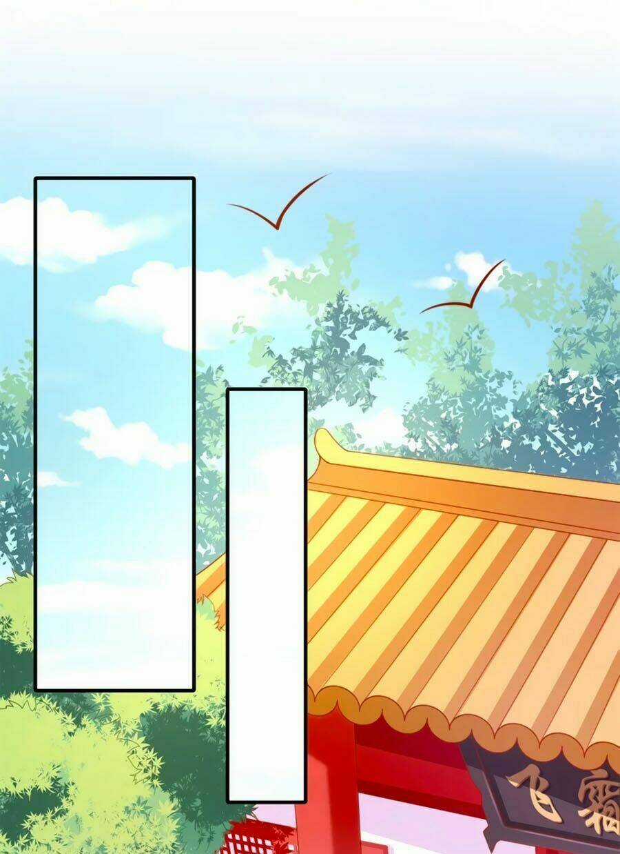 Khuynh Thế Y Phi Muốn Bỏ Chồng Chapter 71 trang 4