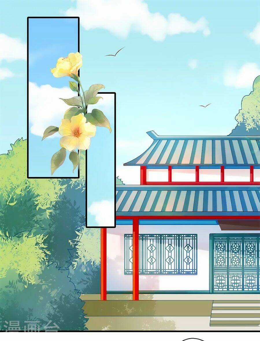 Khuynh Thế Y Phi Muốn Bỏ Chồng Chapter 75 trang 16