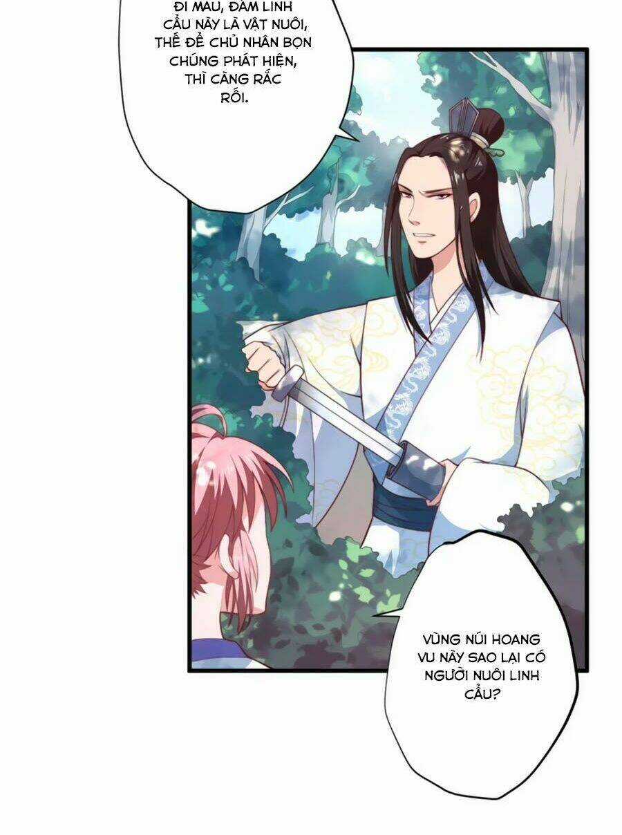 Khuynh Thế Y Phi Muốn Bỏ Chồng Chapter 9 trang 19