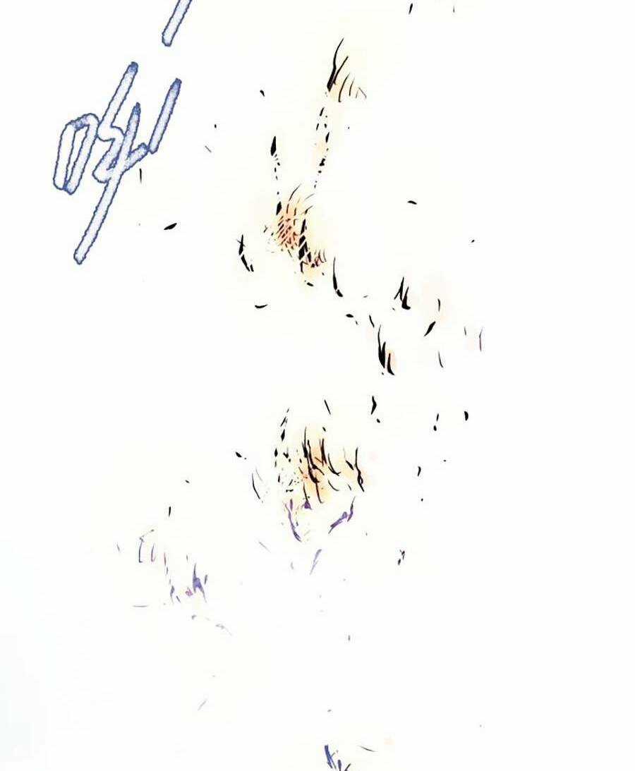 Kí Hiệu Cuối Cùng Chapter 6 trang 73