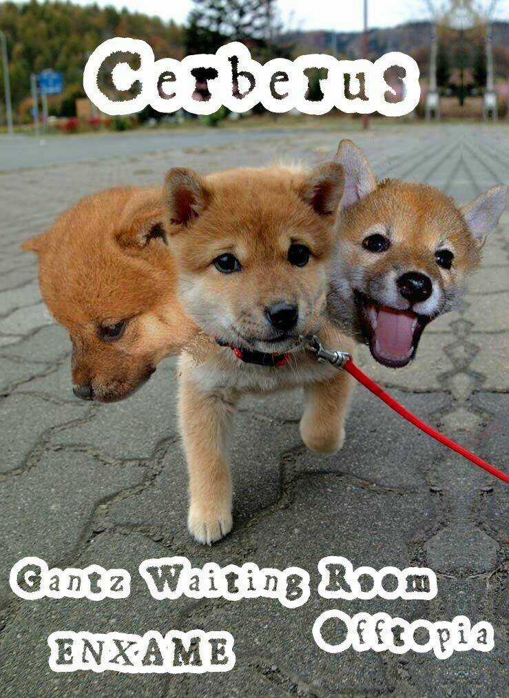 Kiba No Tabishounin - The Arms Peddler Chapter 25 trang 21