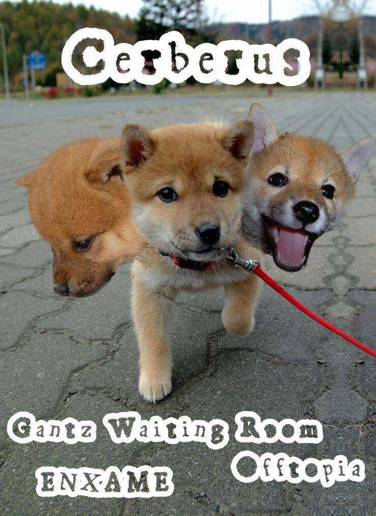 Kiba No Tabishounin Chapter 19 trang 20