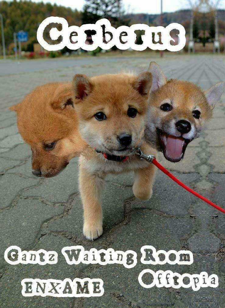 Kiba No Tabishounin Chapter 28 trang 21