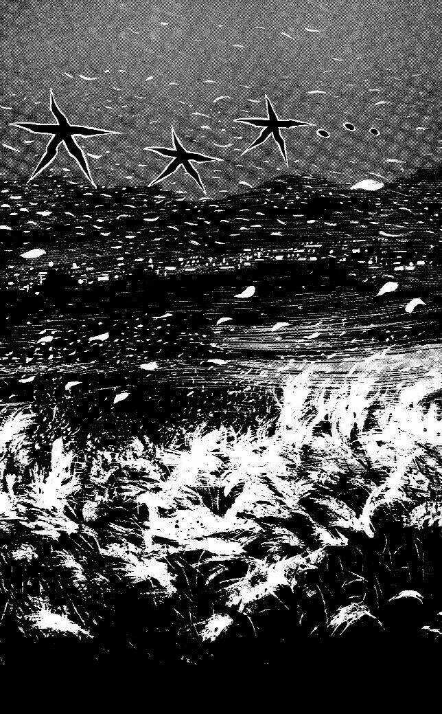 Kiếm Sĩ Musashi Chapter 174 trang 19