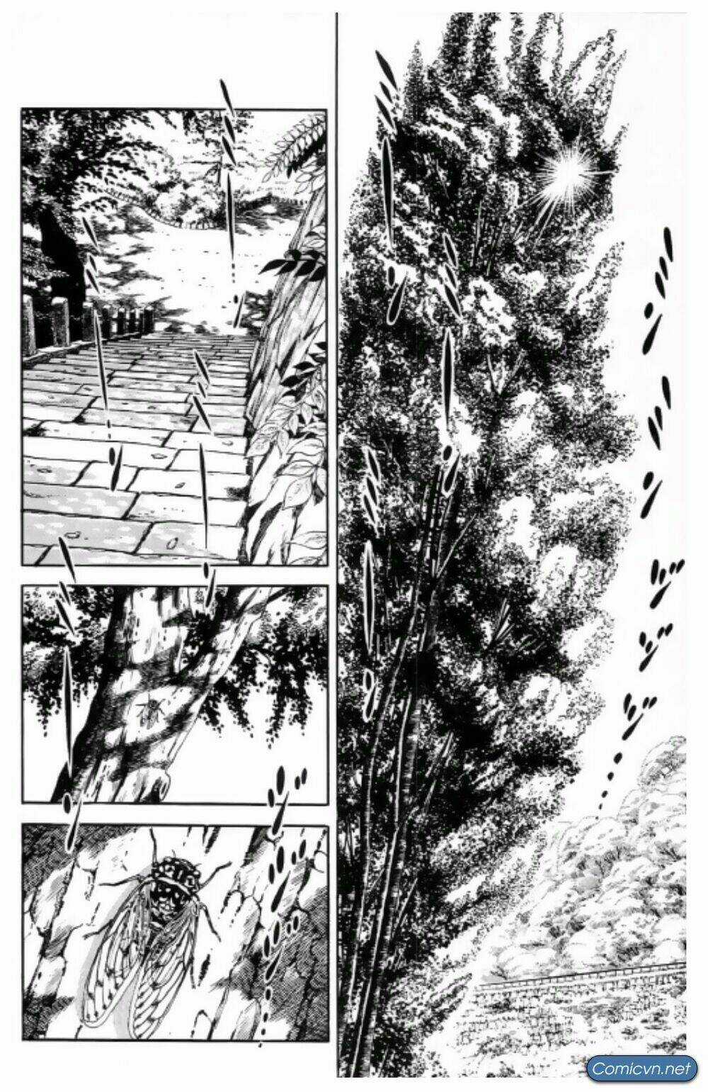 Kiếm Sĩ Musashi Chapter 8 trang 1