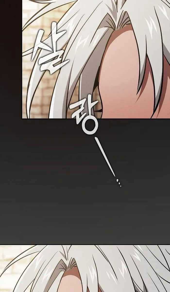 Kiếm Sĩ Thiên Tài Của Học Viện Chương 11 trang 113