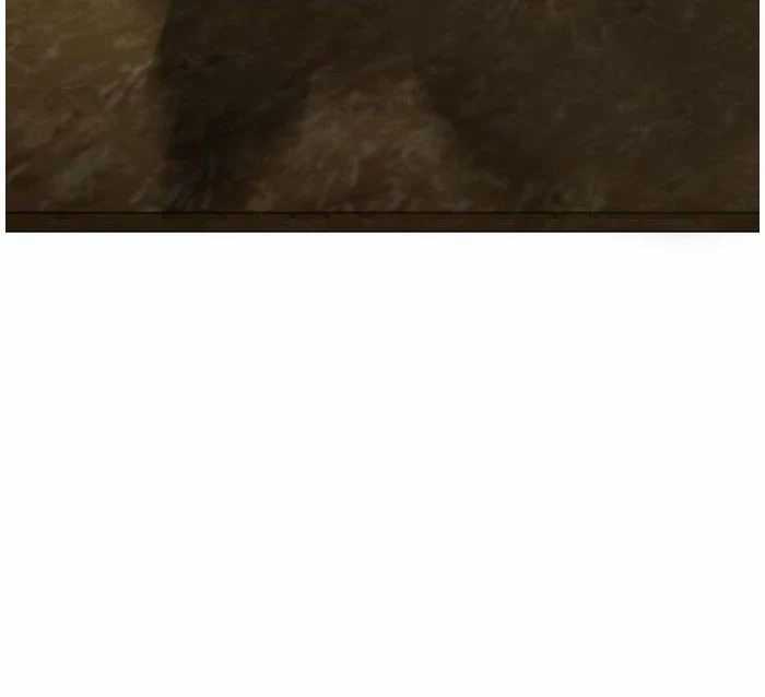 Kiếm Vương Chapter 10 trang 89