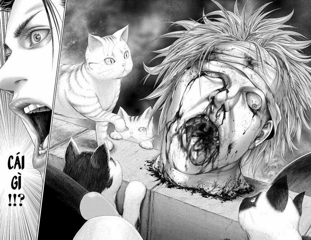 Kiến Vua Chapter 1 trang 63