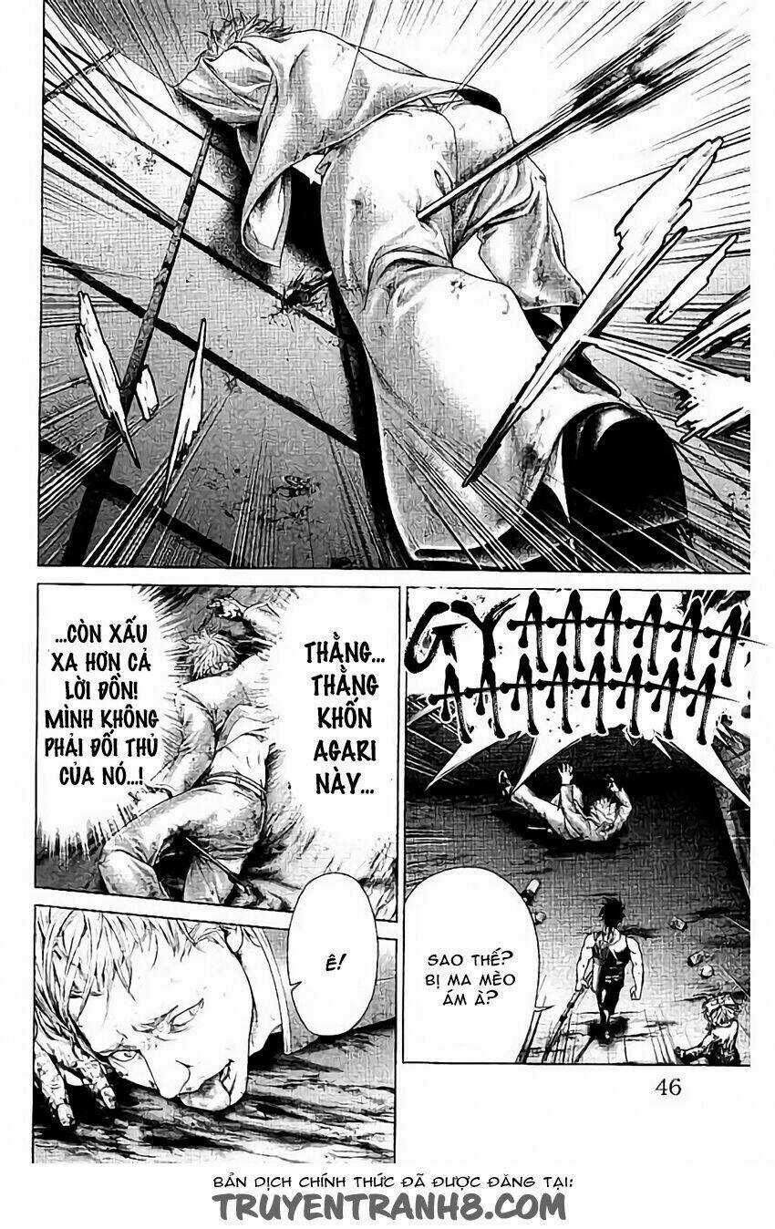 Kiến Vua Chapter 3 trang 5