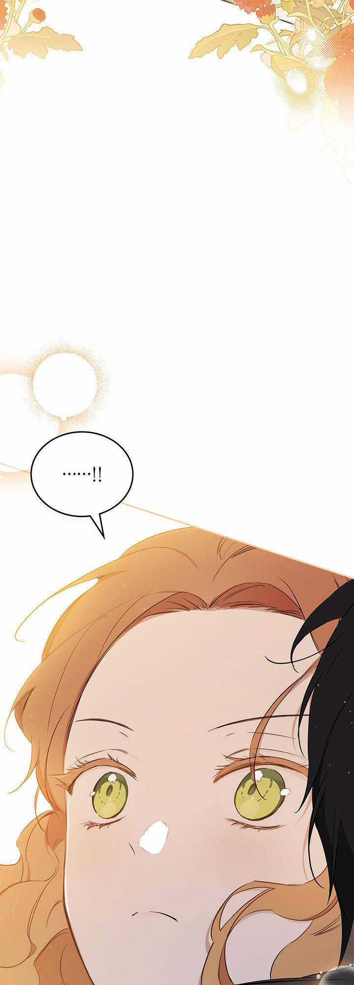 Kiếp Này Tôi Nhất Định Trở Thành Gia Chủ! Chương 126 trang 61