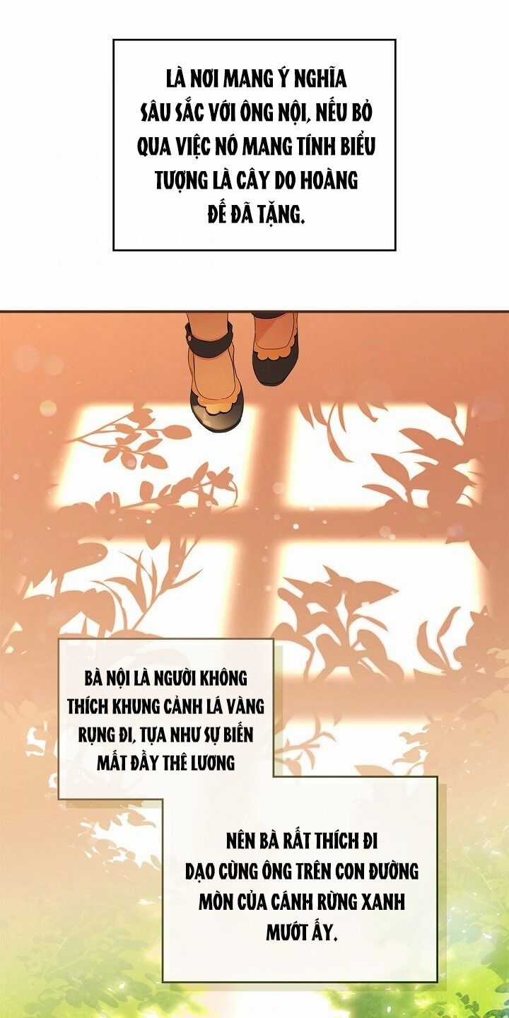 Kiếp Này Tôi Nhất Định Trở Thành Gia Chủ! Chương 13 trang 29