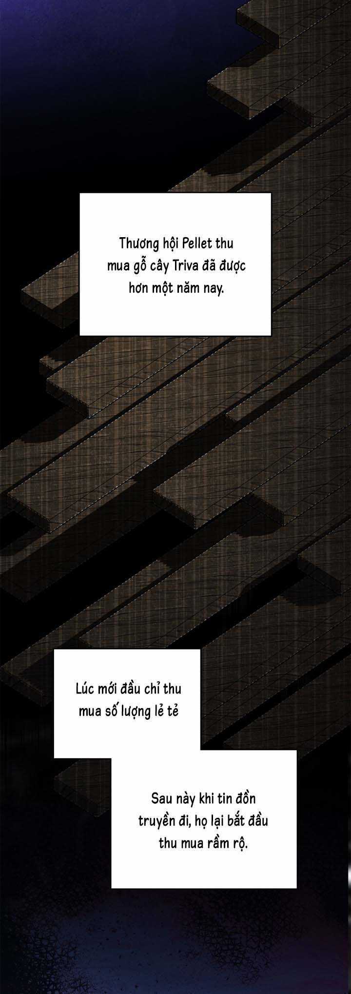 Kiếp Này Tôi Nhất Định Trở Thành Gia Chủ! Chương 152 trang 21