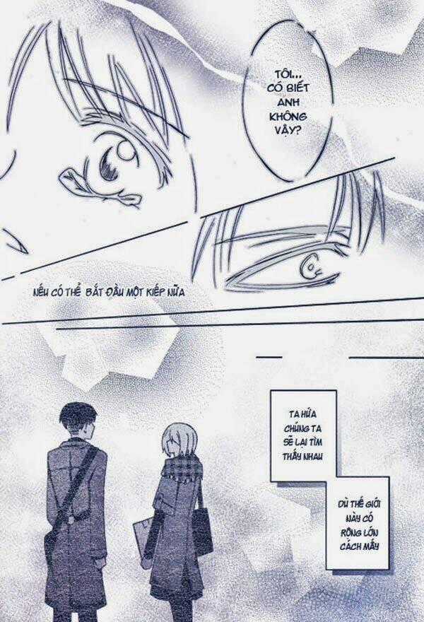 Kiếp Sau Của Levi Và Petra - Doujinshi Chapter 1 trang 8