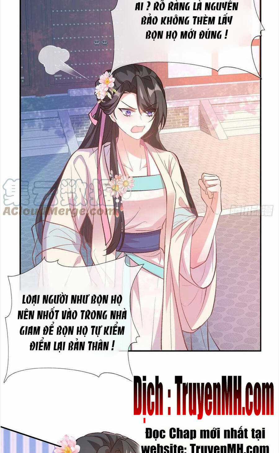 Kiều Mỵ Phu Lang, Tại Tuyến Lục Trà Chapter 116 trang 19