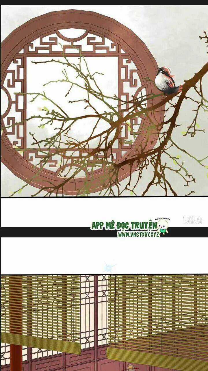 Kiều Nữ Độc Phi Chapter 106 trang 1