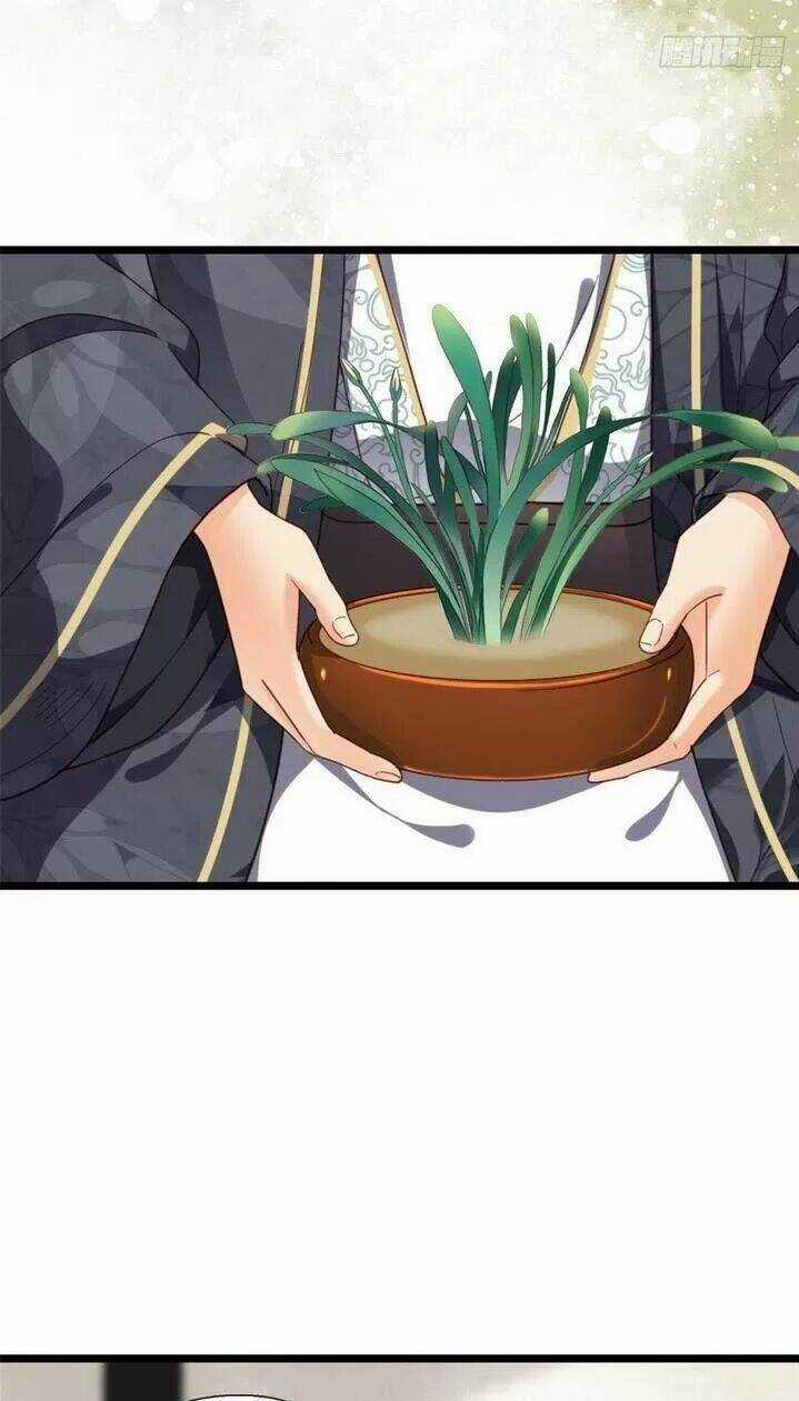 Kiều Nữ Độc Phi Chapter 218 trang 3