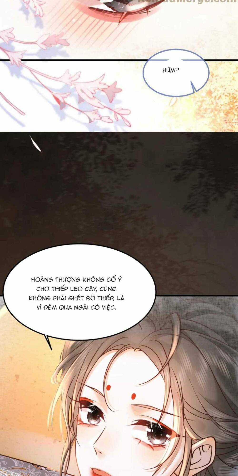 Kiều Quý Phi Thủ Đoạn Ác Độc Và Hoàng Thượng Không Dễ Chọc Chapter 8 trang 9