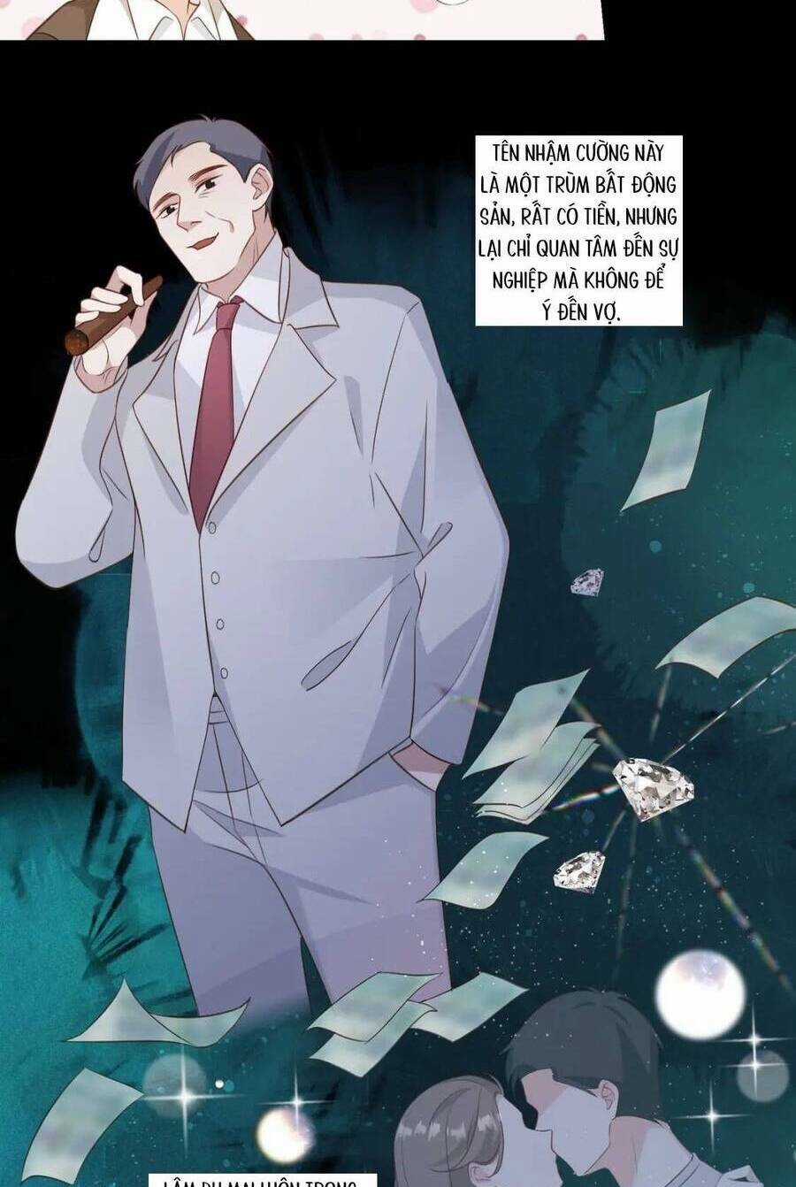 Kiều Thê Hào Môn Chạy Đi Đâu Chapter 47 trang 15