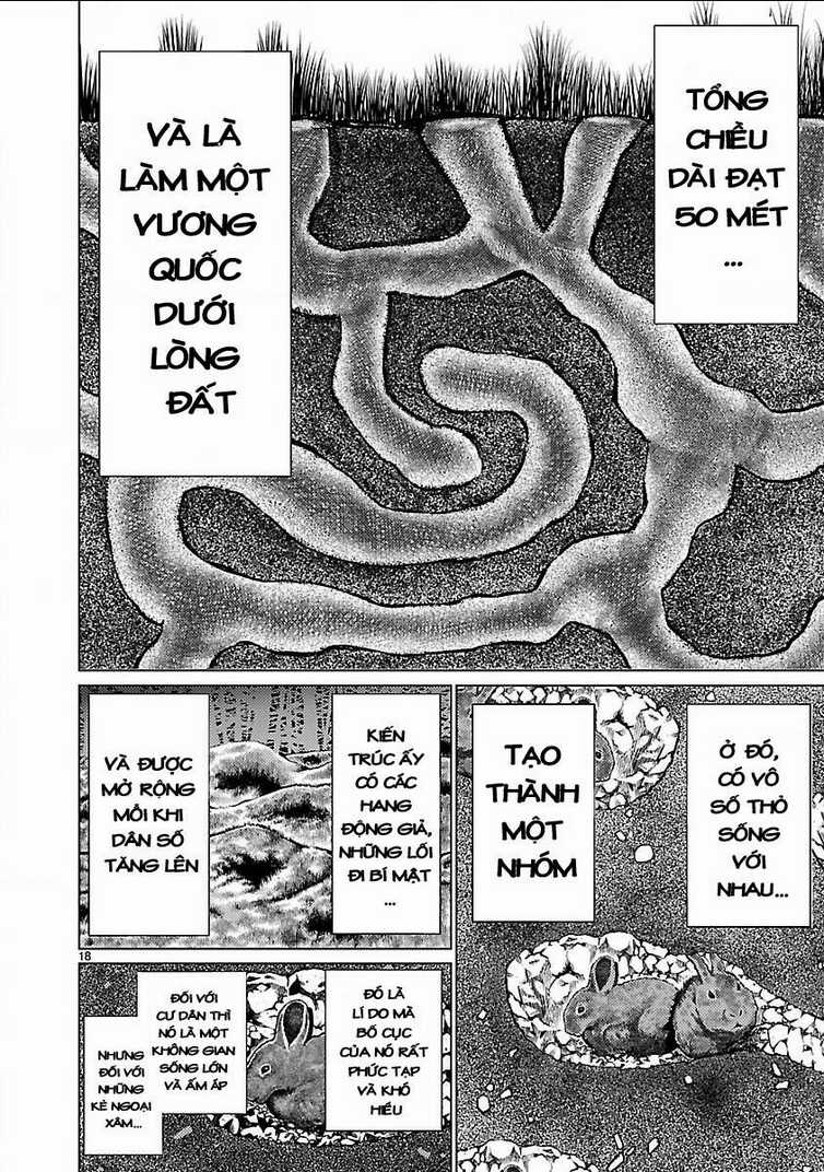 Killing Bites Chapter 18 trang 21