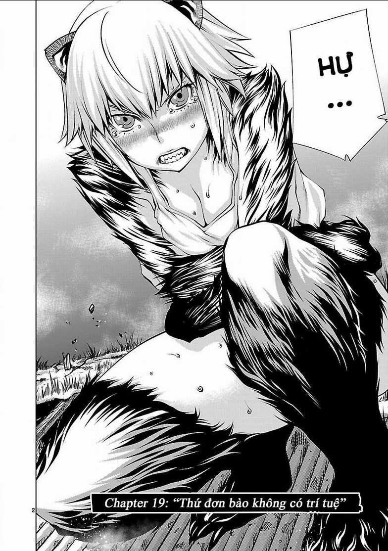 Killing Bites Chapter 19 trang 5