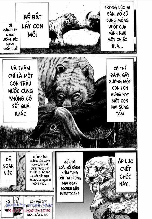 Killing Bites Chapter 21 trang 21