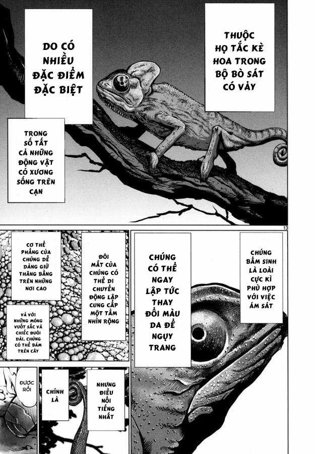 Killing Bites Chapter 29 trang 16