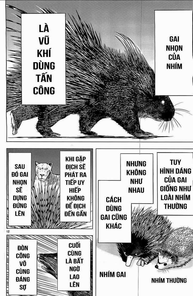 Killing Bites Chapter 3 trang 11