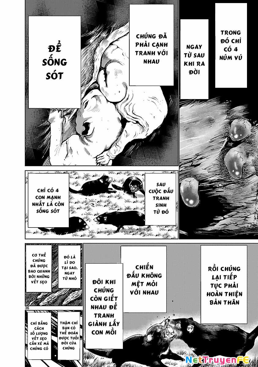 Killing Bites Chapter 36 trang 38