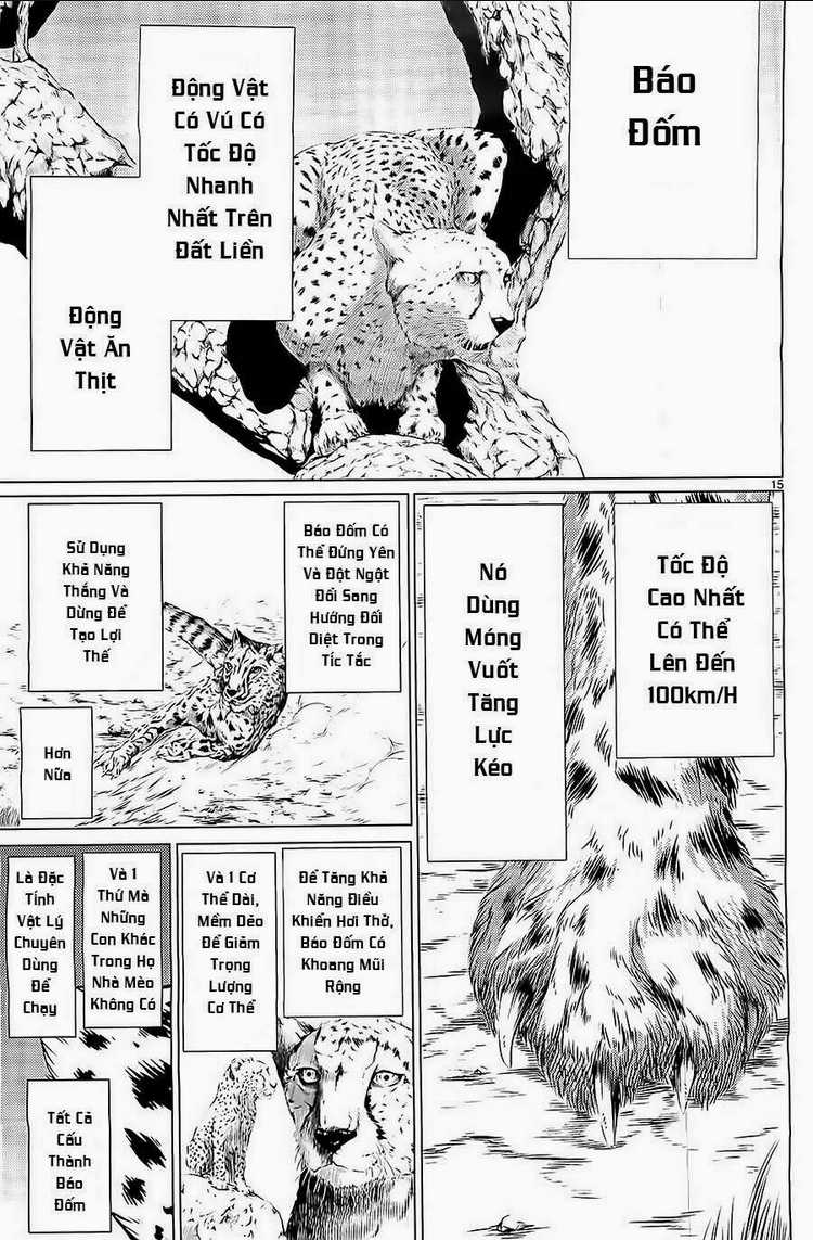Killing Bites Chapter 5 trang 14