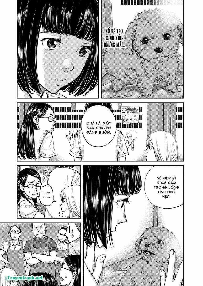 Killing Morph Chapter 1 trang 5