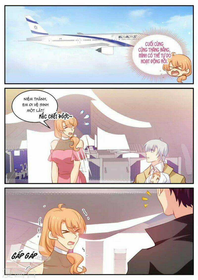 Kim Bài Điềm Thê Chapter 181 trang 7