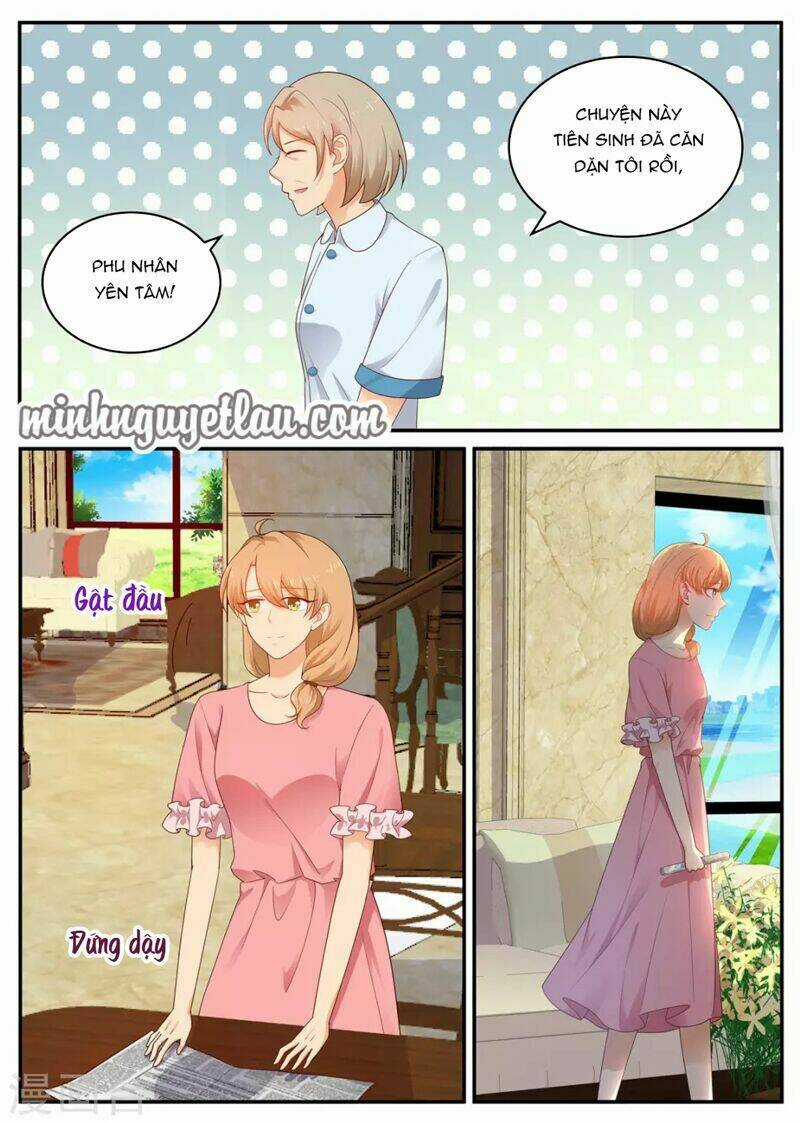 Kim Bài Điềm Thê Chapter 191 trang 4