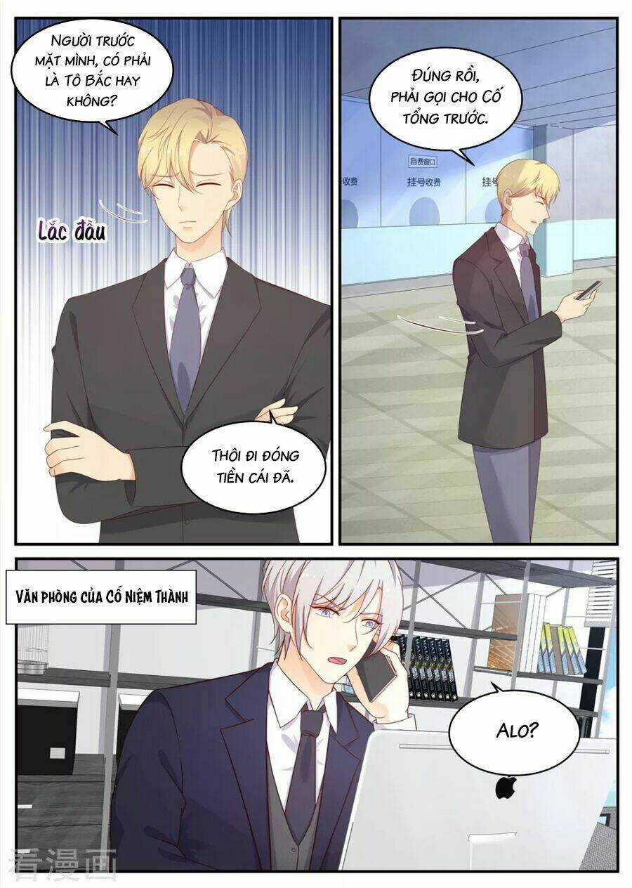 Kim Bài Điềm Thê Chapter 204 trang 8