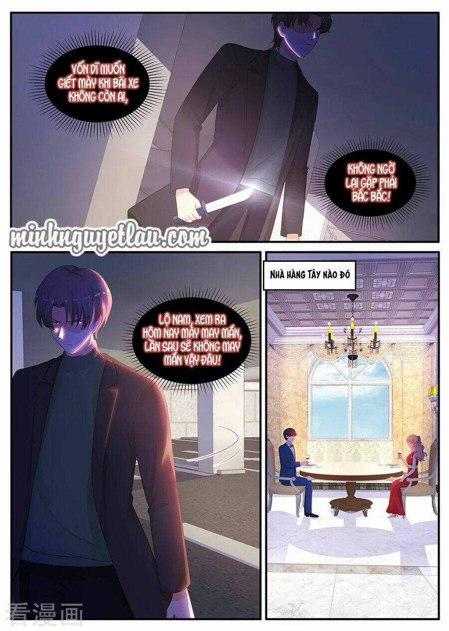 Kim Bài Điềm Thê Chapter 209 trang 2