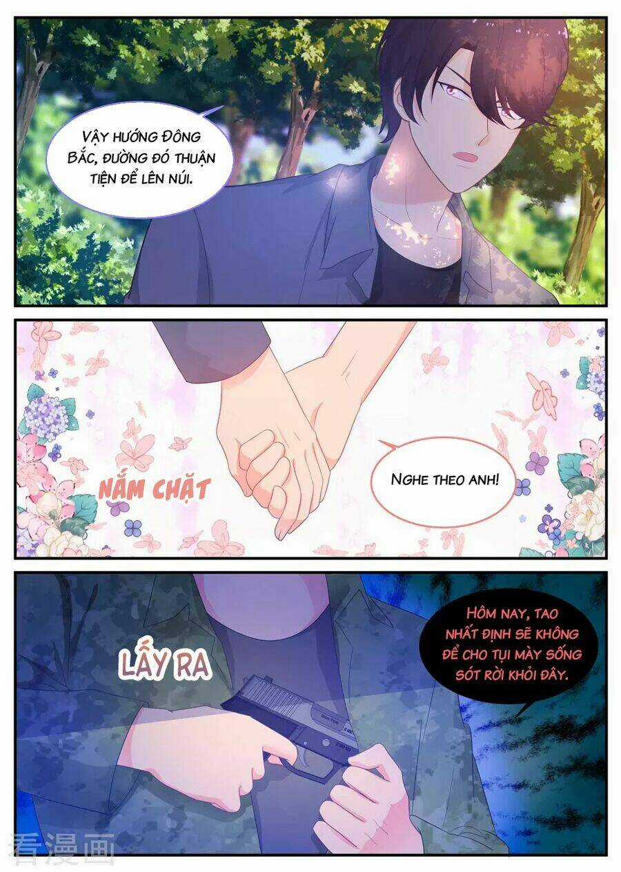 Kim Bài Điềm Thê Chapter 216 trang 4