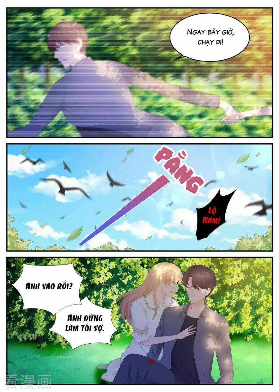 Kim Bài Điềm Thê Chapter 216 trang 5