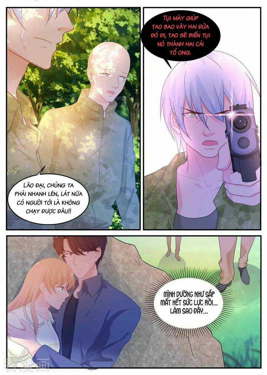 Kim Bài Điềm Thê Chapter 216 trang 8