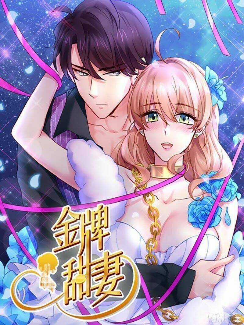 Kim Bài Điềm Thê Chapter 58 trang 0