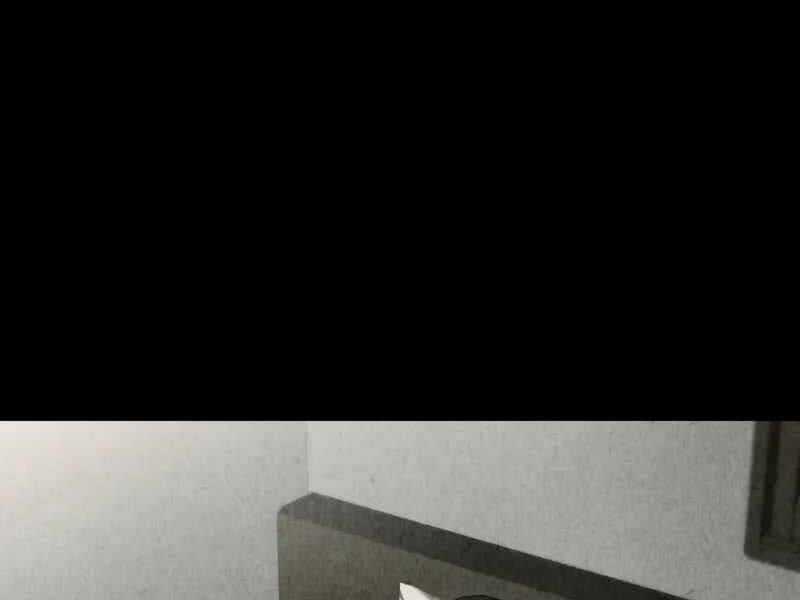 Kim Chiến Sĩ: Hành Trình Xây Dựng Đặc Tính Chapter 14 trang 255