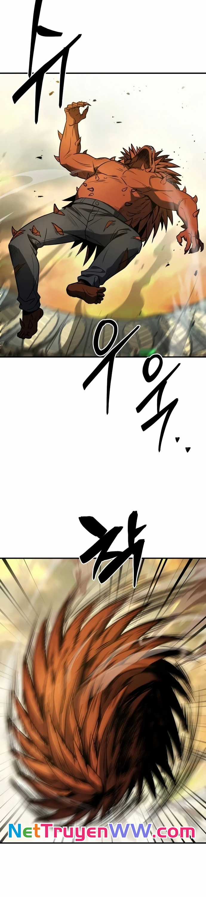 Kim Chiến Sĩ: Hành Trình Xây Dựng Đặc Tính Chapter 3 trang 16