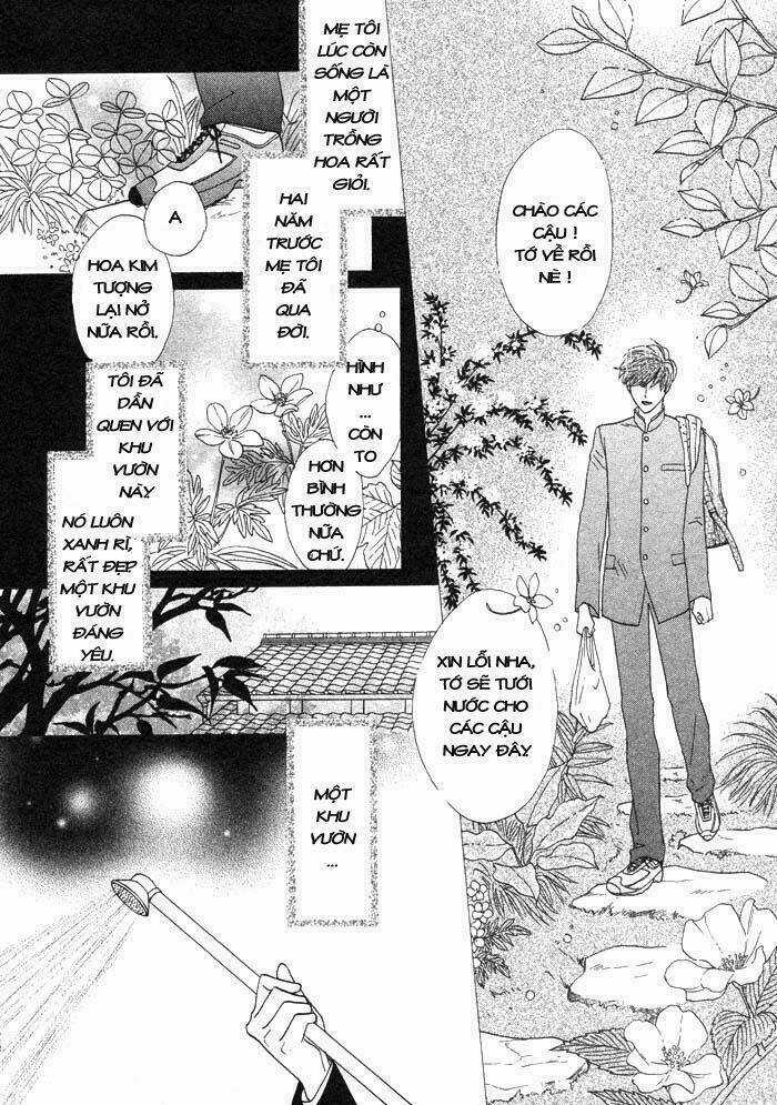 Kim Cương Bạc Chapter 1 trang 15