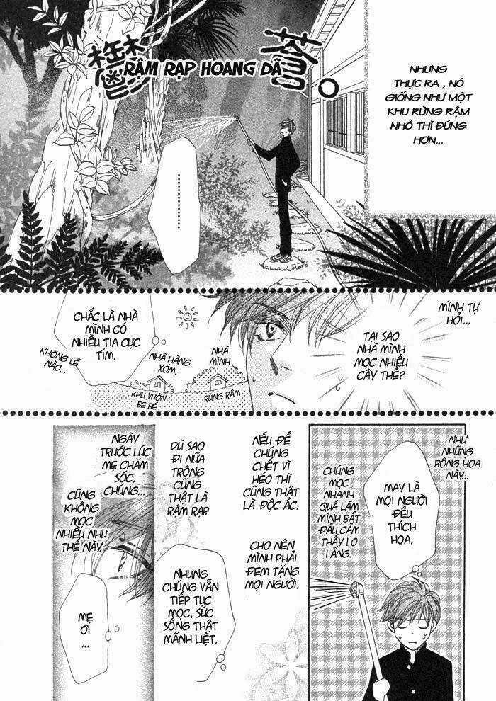 Kim Cương Bạc Chapter 1 trang 16