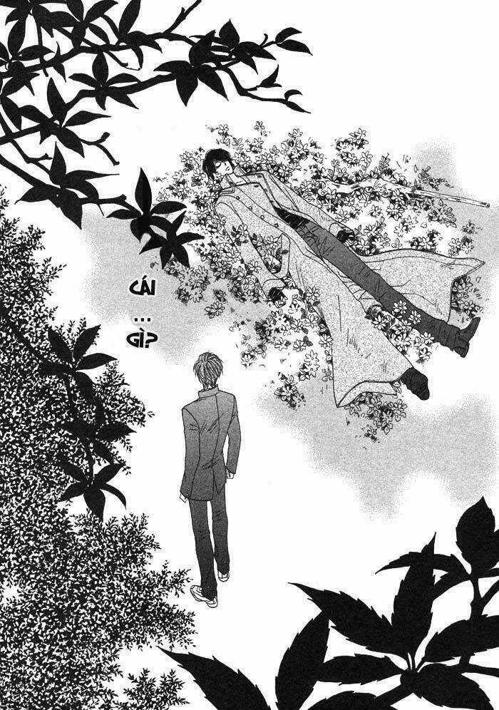 Kim Cương Bạc Chapter 1 trang 19