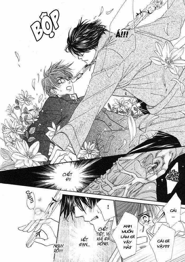 Kim Cương Bạc Chapter 1 trang 21