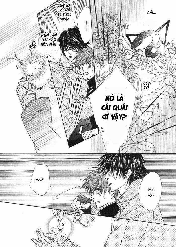 Kim Cương Bạc Chapter 1 trang 30