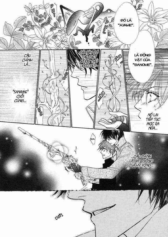 Kim Cương Bạc Chapter 1 trang 32