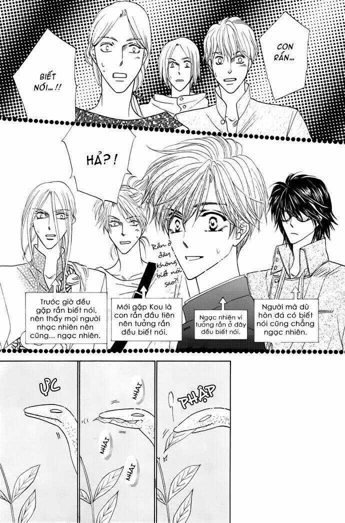 Kim Cương Bạc Chapter 13 trang 30