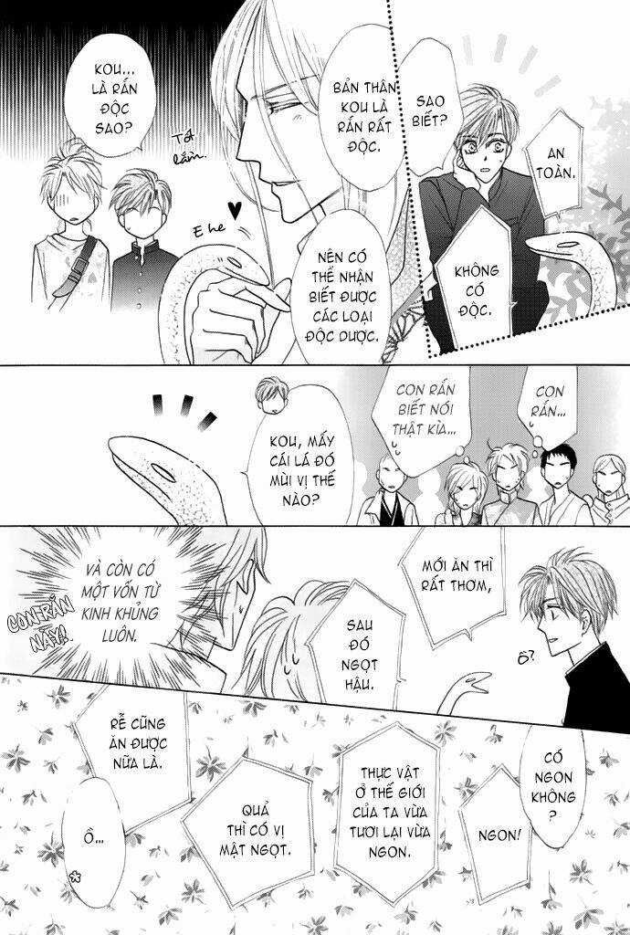 Kim Cương Bạc Chapter 13 trang 31