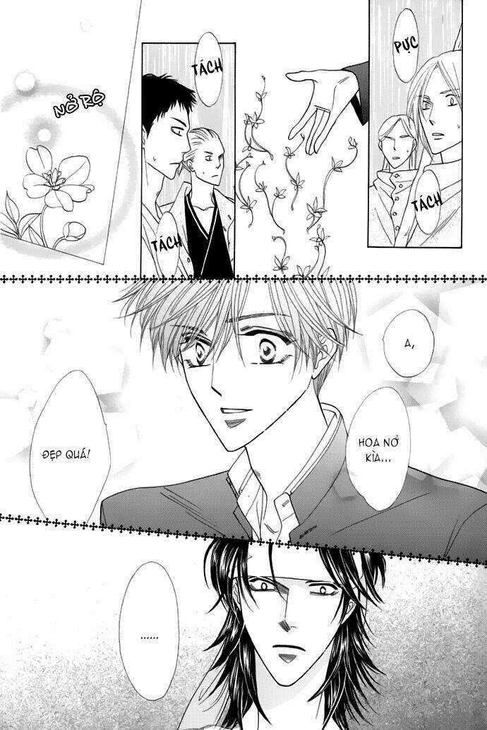 Kim Cương Bạc Chapter 13 trang 6